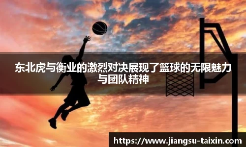 东北虎与衡业的激烈对决展现了篮球的无限魅力与团队精神